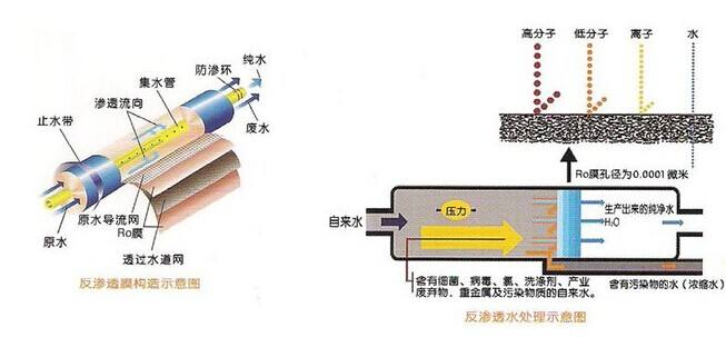 一体化反渗透超樱桃视频在线网址